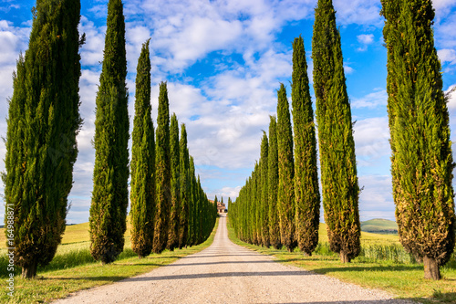Beautiful Tuscany landscape
