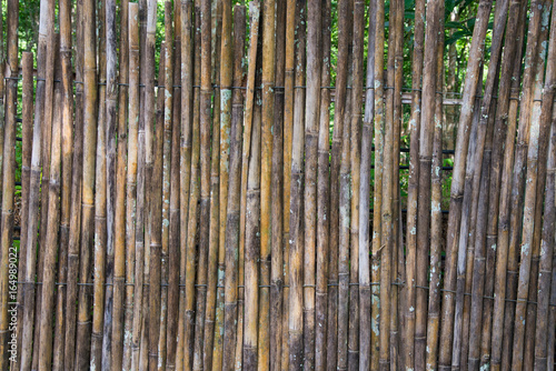 Bamboo sort and organize background  wallpaper  texture  