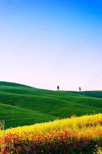 Beautiful Tuscany landscape
