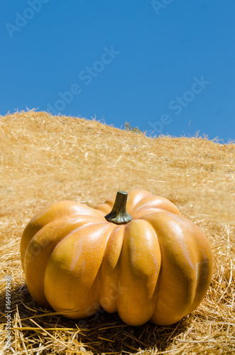 Big orange pumpkin background photo