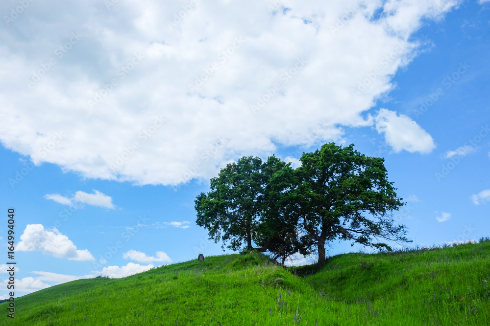 Obraz premium East European scenery - Transylvania region