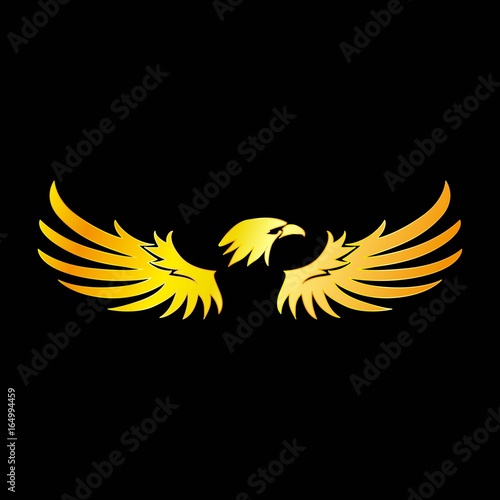 Golden Eagle with Black Background, Vector, Illustration