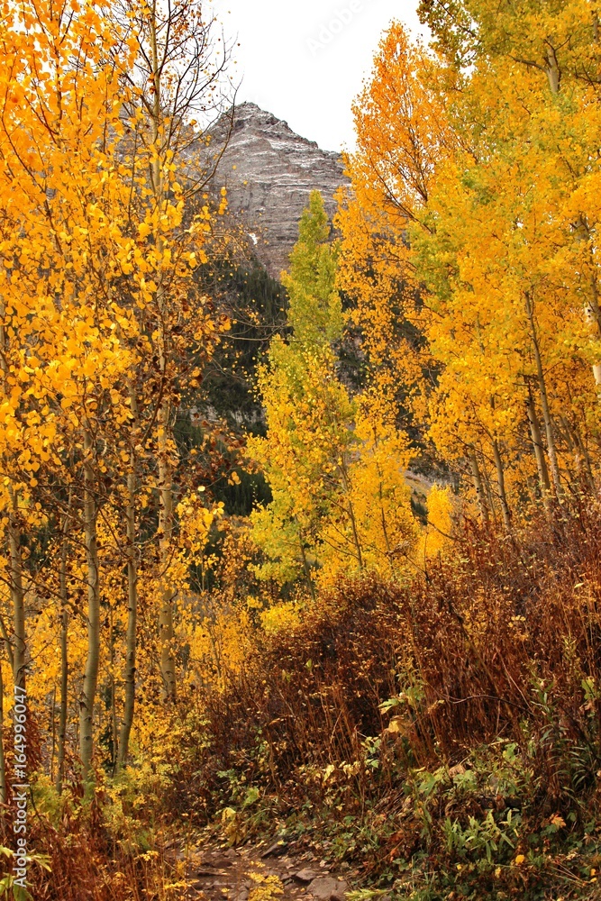 Fall Mountain Colors