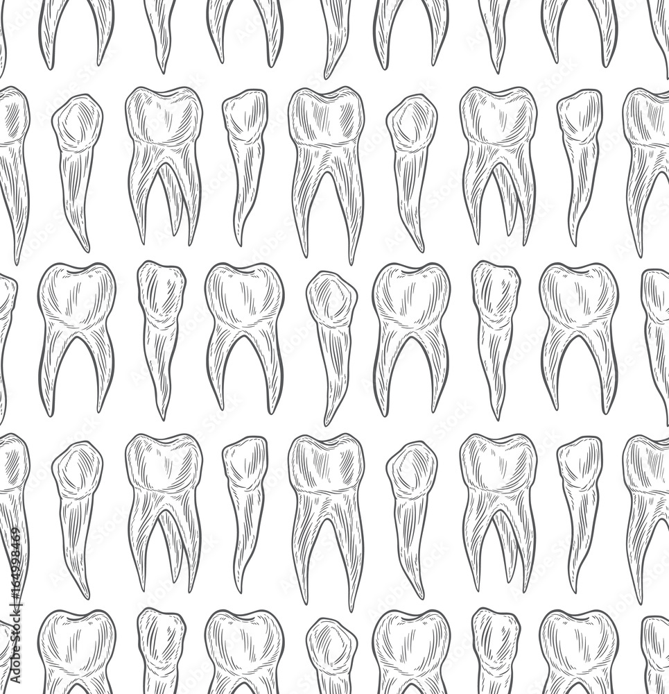 Stylized doodle, hand drawn outline of teeth. A seamless tooth pattern ...