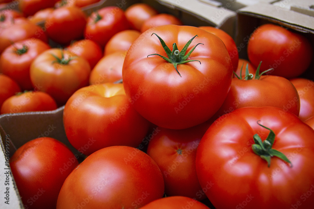 Ripe tomatoes. The boxes are ripe tomatoes. Ripe tomatoes. The boxes are ripe tomatoes.
