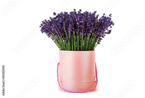 Pink lavender pot