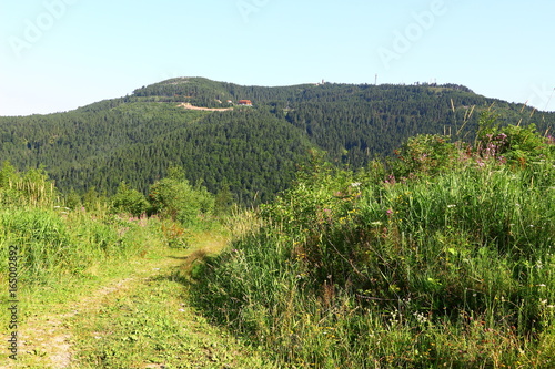 Die Hornisgrinde, mit 1163 m Höhe der höchste Berg im Nordschwarzwald photo