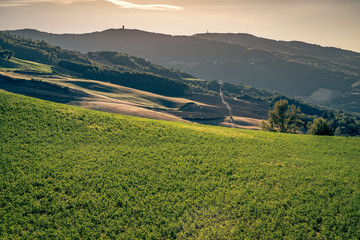 Fotobehang Heuvel Akkers nabij Monghidoro in Emilia-Romagna  © GiorgioMorara