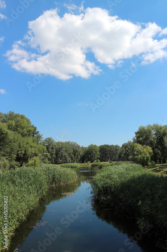 Park lake, blue sky, green lakeside