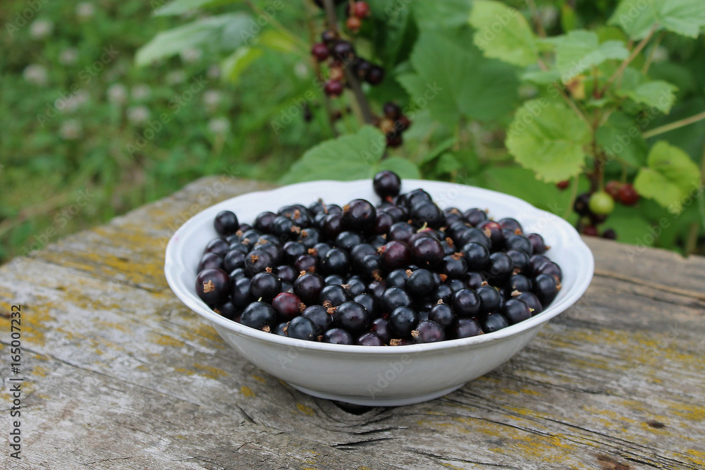 a ripe blackberry is in a dish a ripe blackberry is in a dish