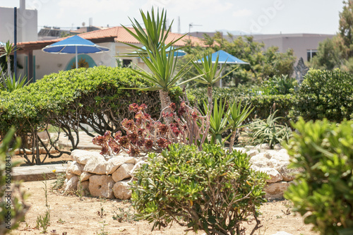 Wallpaper Mural landscaping with palm trees Torontodigital.ca