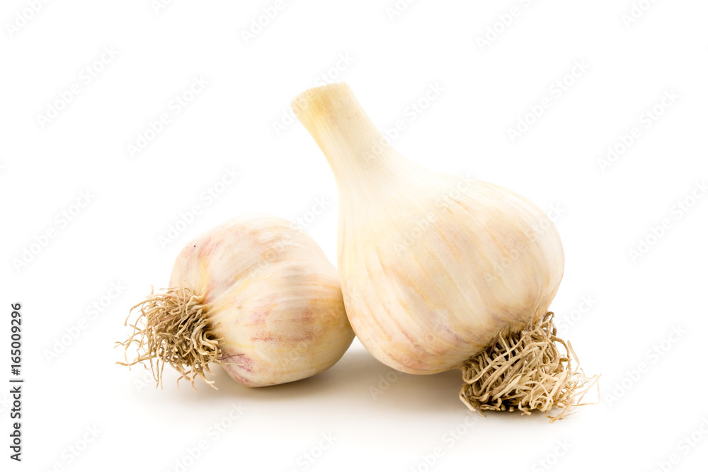 Fresh young garlic on white
