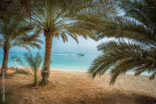 Palm tree, exotic beach