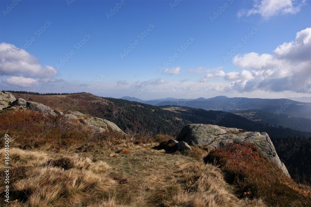 Feldlandschaft mit Felsen