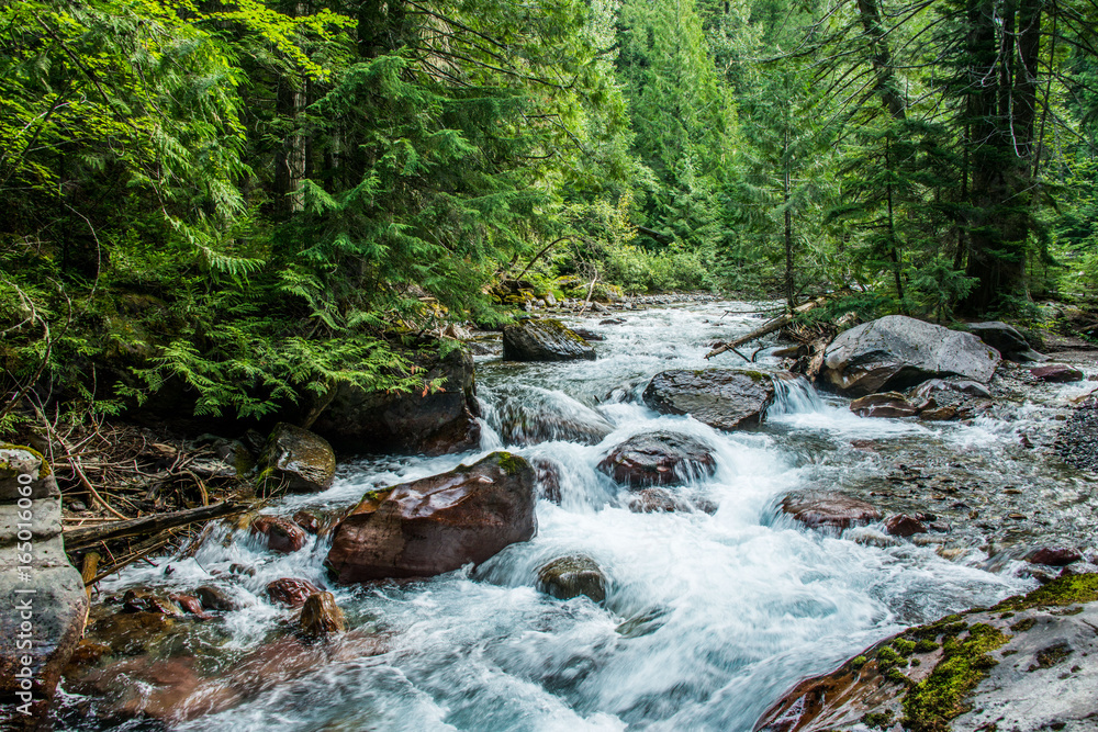 Fotografie Stream