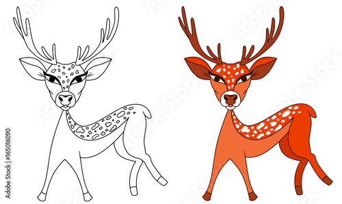 Deer  vector cartoon colored illustration sketch animal bambi spotted