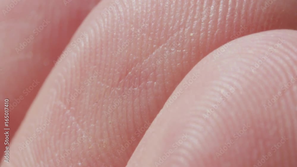 EXTREME CLOSE UP MACRO: Detail of fingerprint on Caucasian index finger. White person's skin pattern and texture on fingertips. White man's finger prints EXTREME CLOSE UP MACRO: Detail of fingerprint on Caucasian index finger. White person's skin pattern and texture on fingertips. White man's finger prints