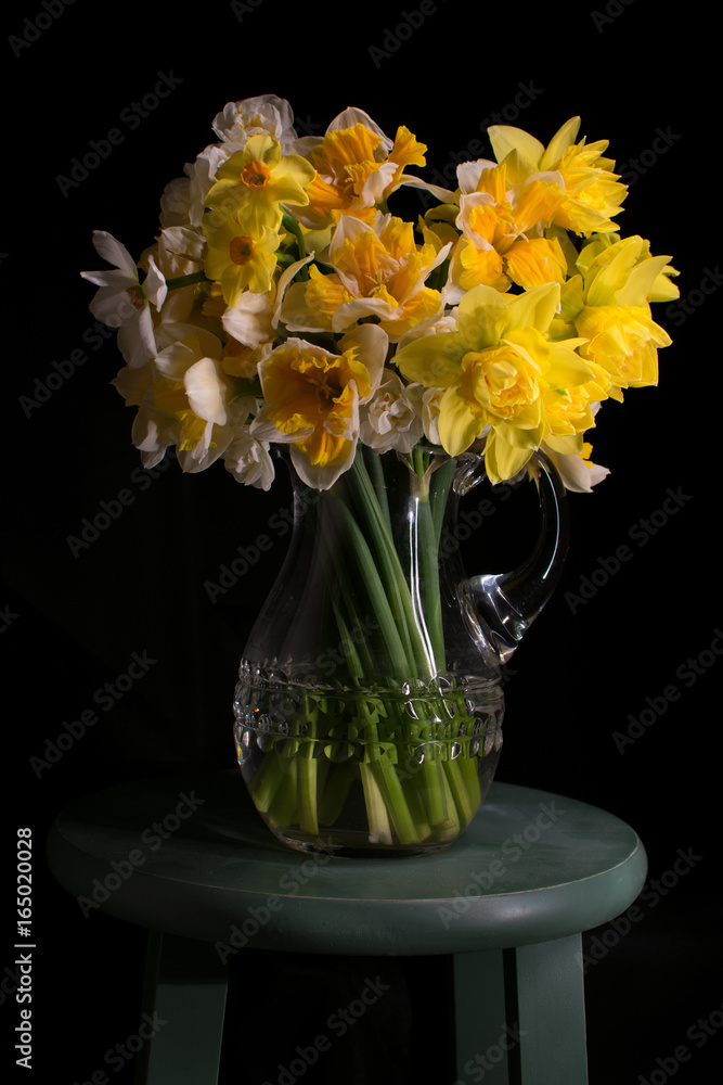 Fototapeta premium Daffodil Bouquet with Black Background