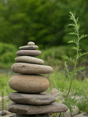Cairn Stack of Rocks and Fern