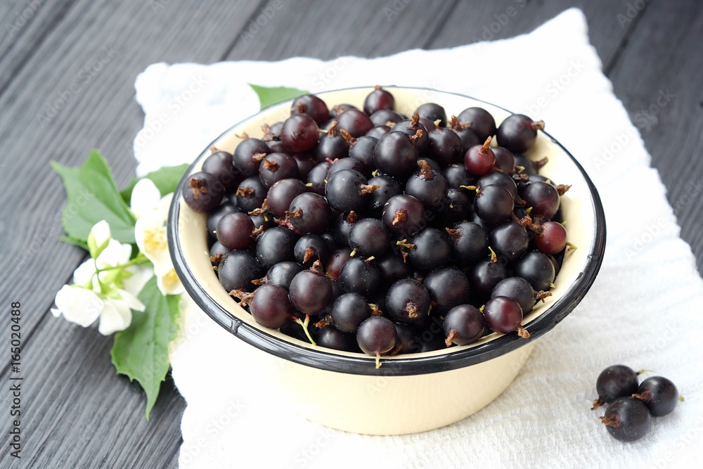 Delicious fresh black currants in plate Delicious fresh black currants in plate