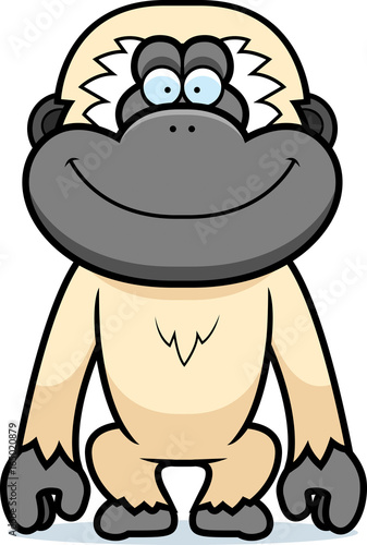Cartoon Gibbon