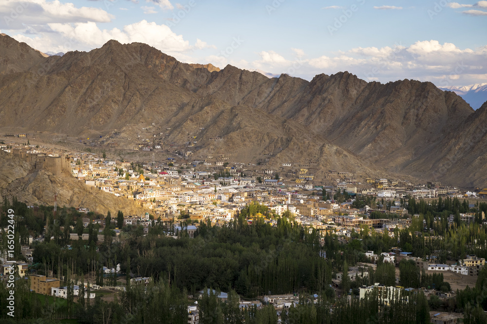 Leh Ladakh city, see view from Shanti Stupa
