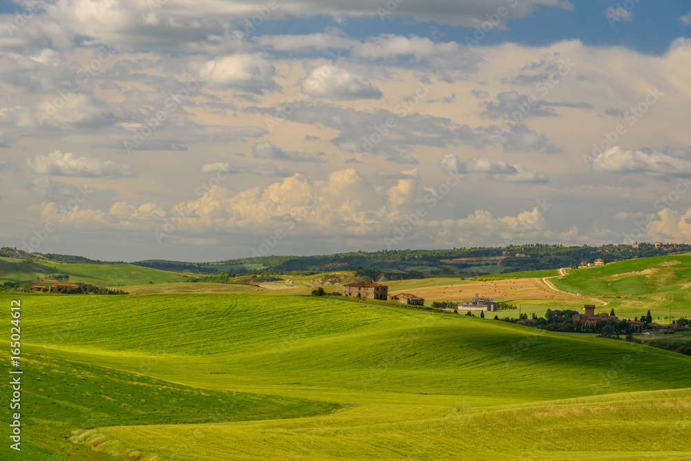 Obraz premium View of the countryside of Val'dOrcia Natural Area in Tuscany during spring season
