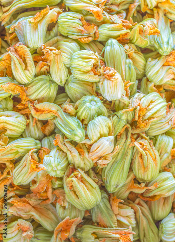 Fototapeta premium Squash Blossom