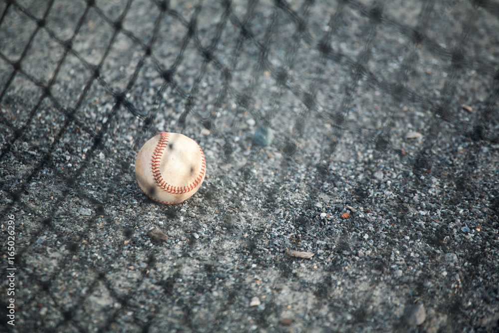 Baseball on the Ground