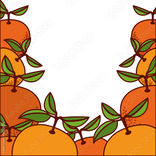 colorful background of orange fruits vector illustration