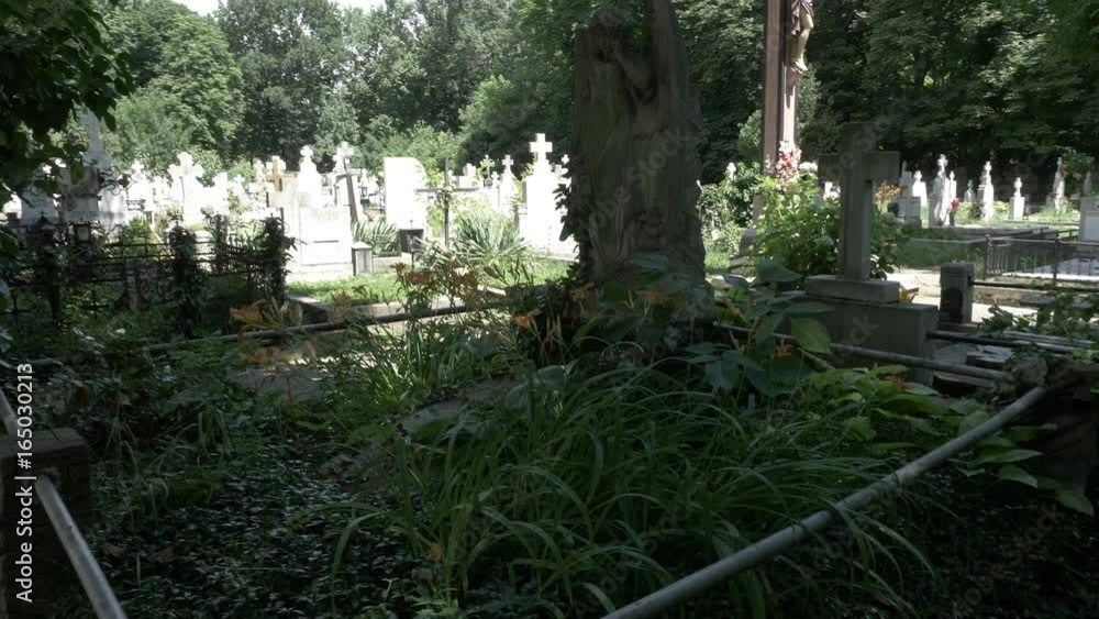 Gothic depressed girl leaning on crying angel statue in cemetery full of trees and vegetation moment of silence Gothic depressed girl leaning on crying angel statue in cemetery full of trees and vegetation moment of silence
