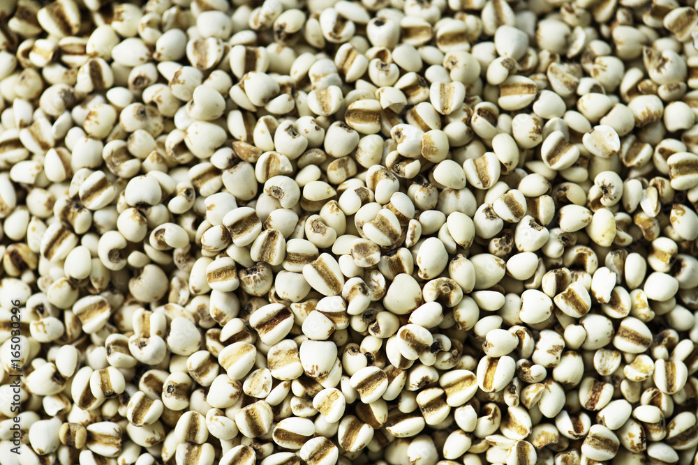 Closeup of jobs tears seeds product