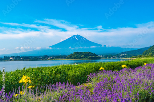 Mt. Fuji and Lavender by Lake Kawaguchi (2017)