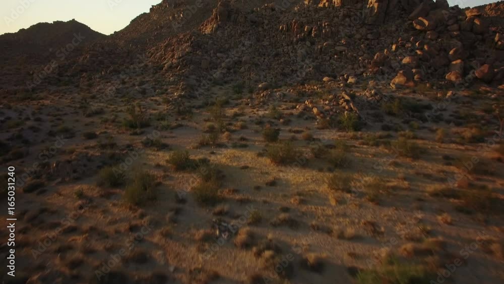 Joshua Tree Aerial Shot of Mojave Desert at Sunset Joshua Tree Aerial Shot of Mojave Desert at Sunset