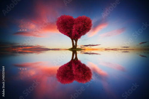 Abstract image of lonely red color leaf and love shape tree at sunrise scene with reflection in water. © jamesteohart