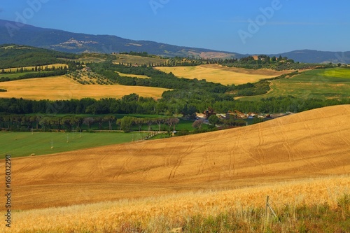 Countryside landscape around Pienza Tuscany in Italy  Europe