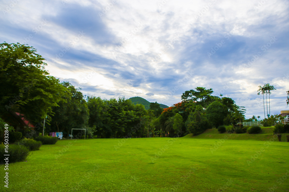 Naklejka premium lawn