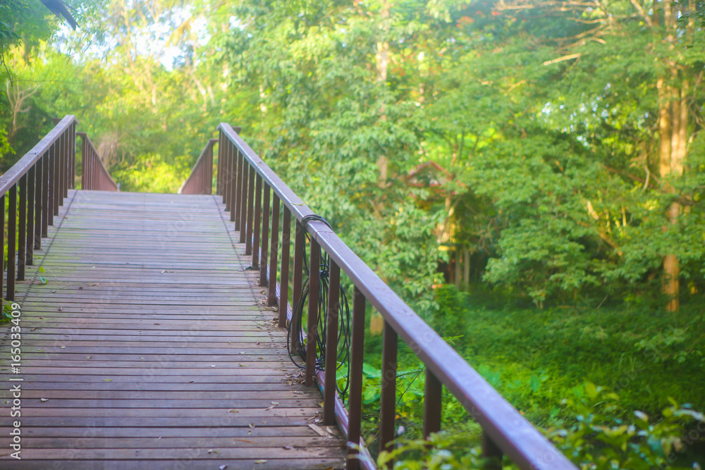 Obraz premium Wood bridge