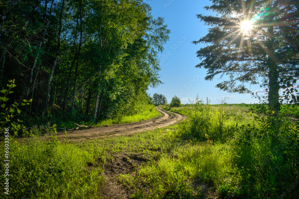 Obraz premium Farm road