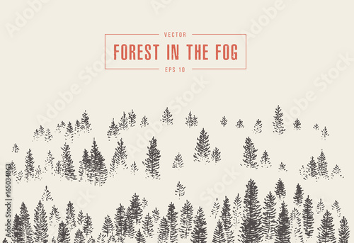 Misty fog pine forest mountain vector drawn sketch