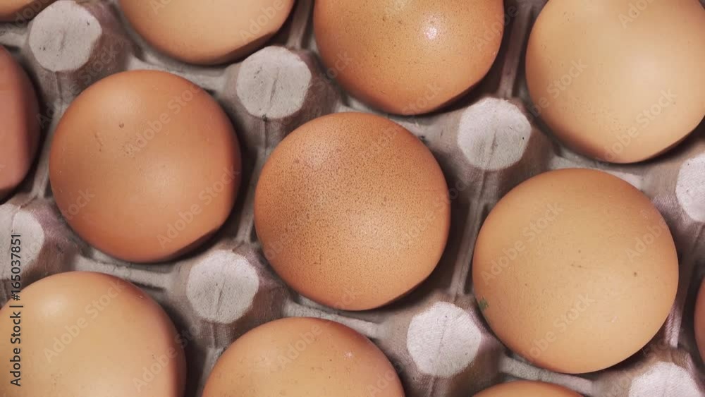 Eggs lie in the cardboard support Eggs lie in the cardboard support