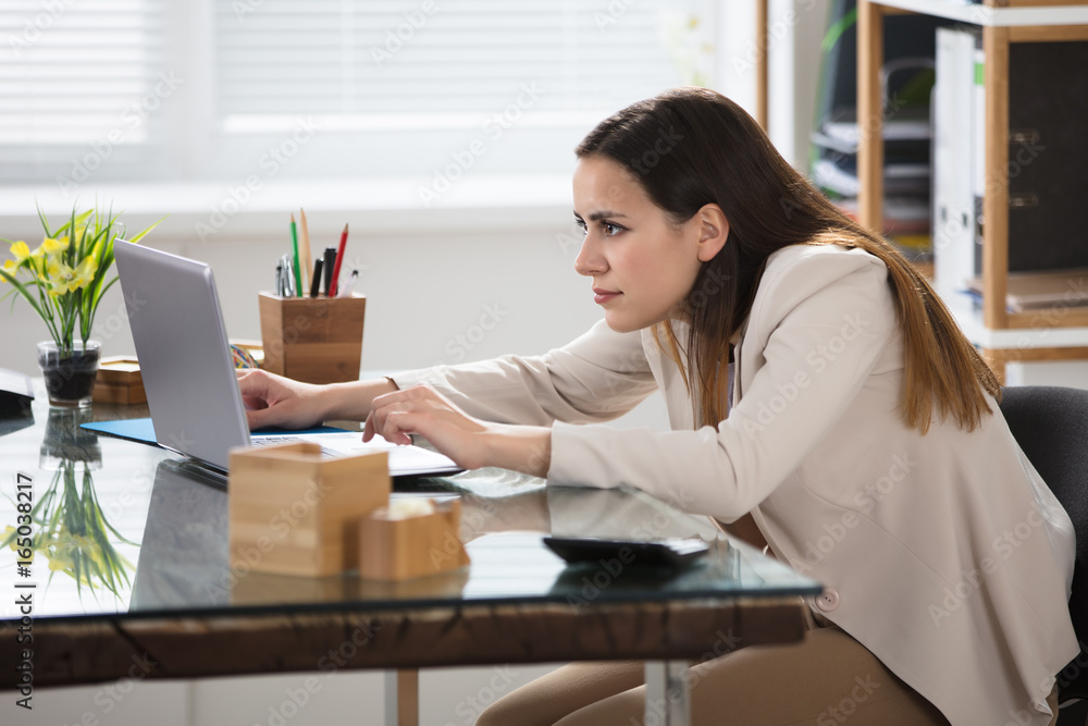 Businesswoman Using Laptop Businesswoman Using Laptop