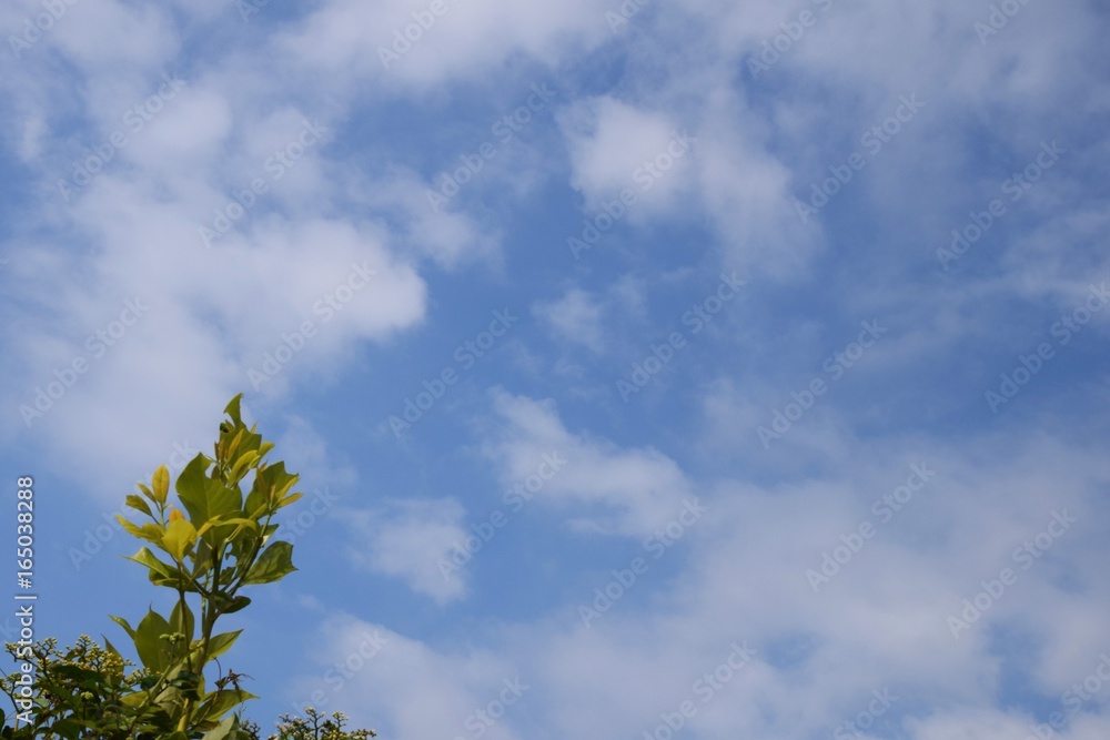 背景素材 夏空stock Photo Adobe Stock