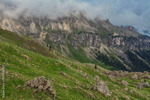 Italy South Tyrol Dolomites Rosengarten mountain range meadow