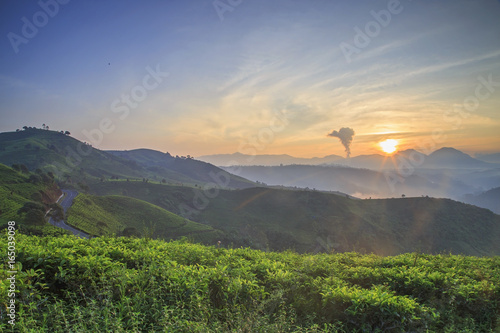 A view of the sunrise in the Cukul Tea Plantation, Bandung, Indonesia. photo