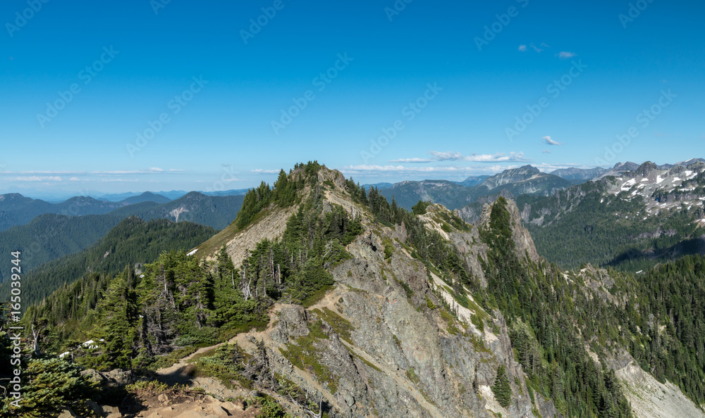 Tolmie Peak Trail