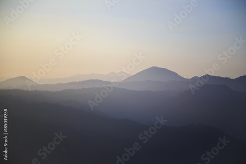 A view of the sunrise in the Cukul Tea Plantation  Bandung  Indonesia.