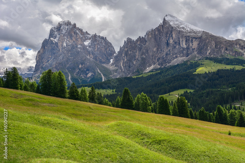 Italy south tyrol dolomites mountains Langkofel Plattkofel meadow