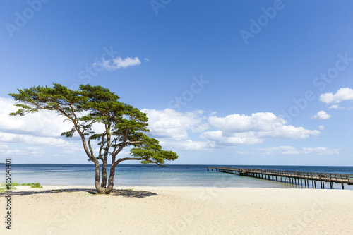 Strand in Skaninavien