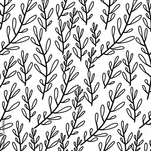 Fototapeta Naklejka Na Ścianę i Meble -  monochrome pattern of branches with ovoid leaf vector illustration
